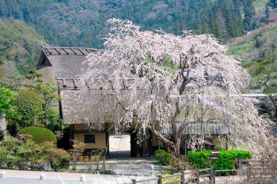 堀家住宅　賀名生皇居跡